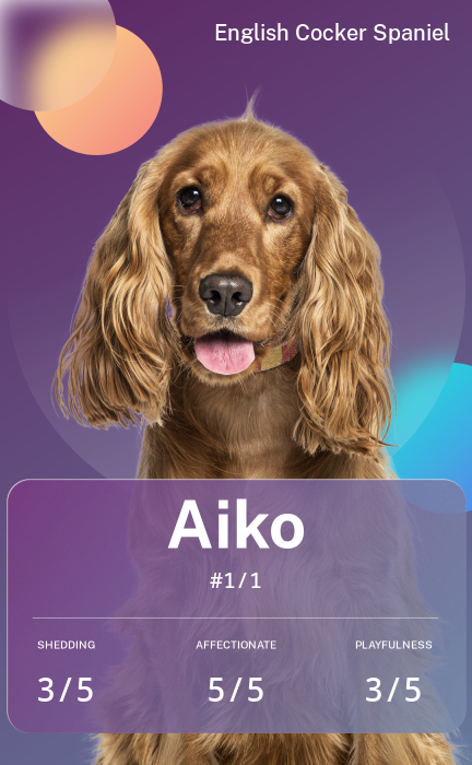 aiko-1.png